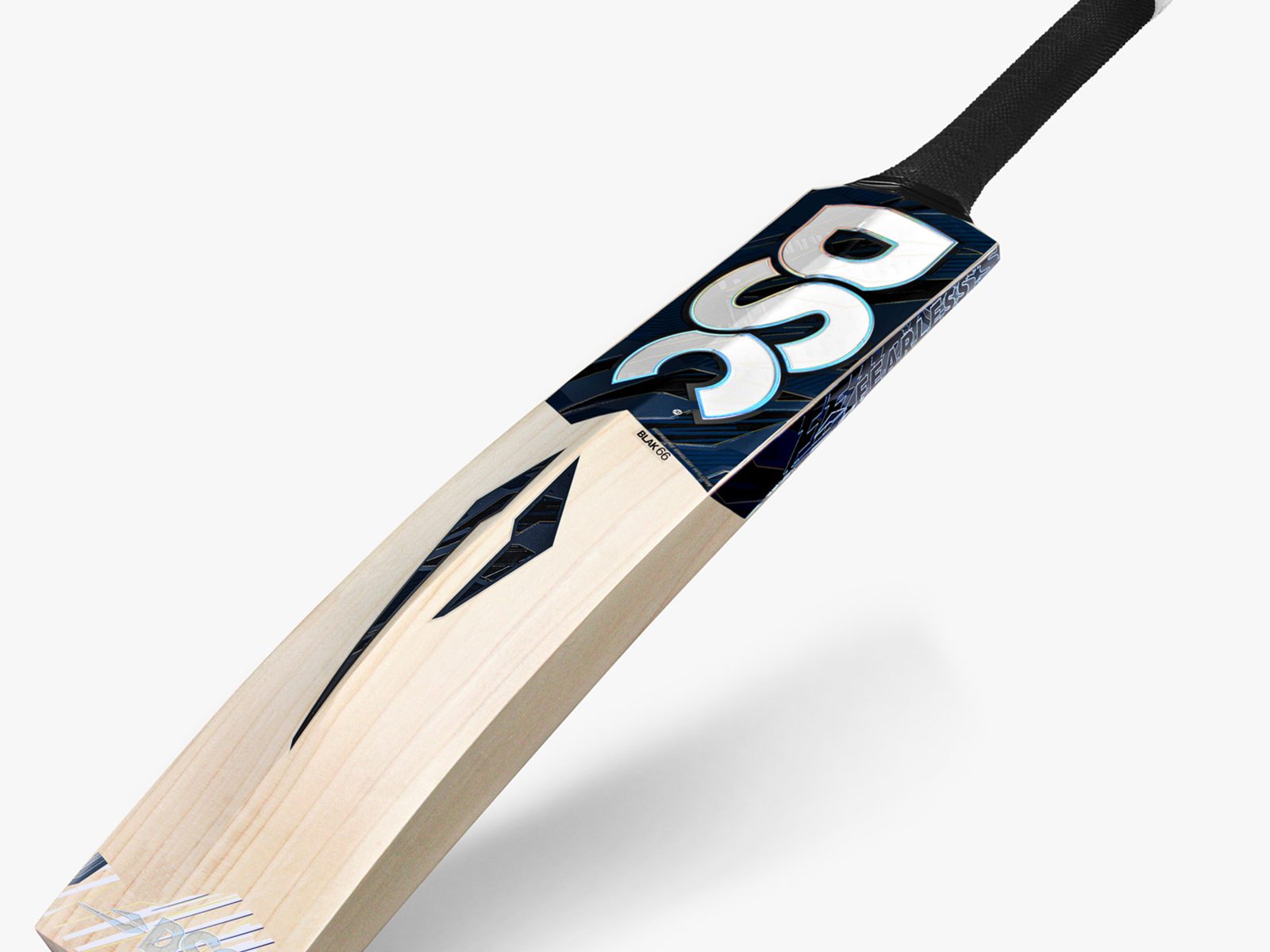 DSC Blak 66 EW Cricket Bat